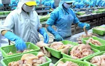 Mỹ nêu lý do cấm nhập khẩu lô cá da trơn từ Việt Nam