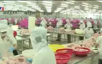 Thêm 12 nhà máy chế biến cá da trơn được xuất khẩu vào Mỹ