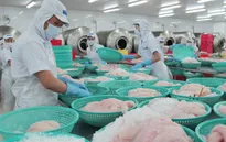 45 cơ sở chế biến được xuất khẩu cá tra, cá basa sang Mỹ
