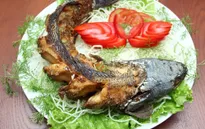 Thưởng thức cá tầm nướng hạt tiêu rừng - đặc sản Tây Nguyên