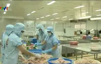 Đề xuất bổ sung 13 doanh nghiệp xuất khẩu thủy sản vào Mỹ