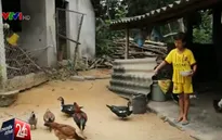 Xót xa số phận của anh em có mẹ mắc bệnh tim, bố mất sớm