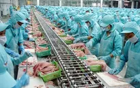Bỏ quy định DN cá tra phải nộp hợp đồng xuất khẩu