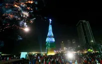 Cây thông Noel lớn nhất thế giới