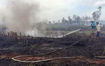 Vụ cháy vùng than bùn ở Cà Mau do người dân đốt đồng