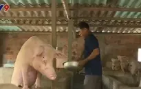 Quảng Trị tạo sinh kế bền vững cho ngư dân