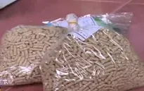 Chiêu mới sử dụng chất cấm trong chăn nuôi