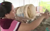 Nghệ An: 100% hộ chăn nuôi Diễn Châu cam kết không sử dụng chất cấm