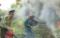 Cảnh báo cháy rừng cấp nguy hiểm tại Đà Nẵng