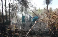 Thông tin cháy lớn rừng tràm U Minh Hạ là không chính xác