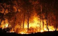 Mỹ: Cháy rừng dữ dội tại California, hàng trăm người dân phải sơ tán