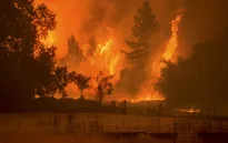 Cháy rừng ở Los Angeles, 5.000 người phải sơ tán