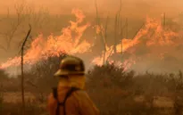 Mỹ nỗ lực khống chế cháy rừng ở bang California
