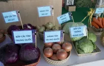 Cách phân biệt nông sản Đà Lạt với Trung Quốc