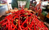 Indonesia và Trung Quốc tranh cãi về ớt nhiễm khuẩn
