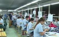 Dự thảo luật phòng chống tham nhũng khiến nhiều chủ DN e ngại