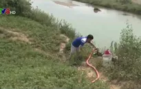 Đà Nẵng chủ động chống hạn, xâm nhập mặn