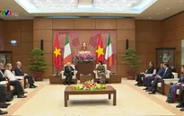 Thúc đẩy hợp tác giữa hai Quốc hội Việt Nam - Ireland