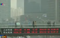 Sắc xanh bao trùm chứng khoán châu Á sau tín hiệu tốt từ phố Wall