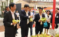 Chuối Việt Nam chính thức vào siêu thị Aeon