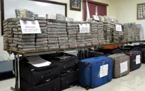 Peru thu giữ 1,2 tấn cocaine tại khu vực trồng cây coca lớn nhất nước