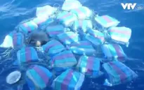 Mexico thu giữ gần 1 tấn cocaine trên biển Thái Bình Dương