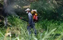 Virus Zika lây lan nhanh ở Colombia