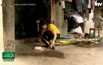 Cảm thương hoàn cảnh éo le của em học sinh nghèo mất cha, mẹ bị bệnh tim