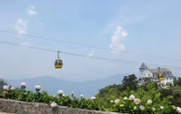 Xử phạt 185 triệu 10 người Hàn Quốc hoạt động du lịch "chui"