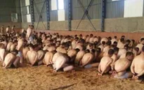 Nhiều nhà ngoại giao Thổ Nhĩ Kỳ xin tị nạn ở Đức sau vụ đảo chính