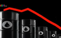 IMF: Kinh tế thế giới năm 2016 sẽ "khá thất vọng" và không đồng đều