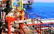 Ngành dầu khí duy trì mức tăng trưởng ổn định trong năm 2016