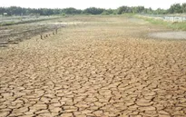 Biến đổi khí hậu tác động tới hàng triệu người dân ĐBSCL