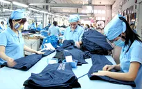 86% công nhân dệt may Việt Nam có nguy cơ mất việc vì tự động hóa