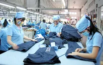 Ngành dệt may năm 2017: "Trong rủi có may"