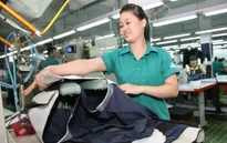 Tổng kim ngạch xuất khẩu dệt may 5 tháng đầu năm đạt 67,71 tỉ USD