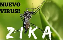 Bộ Y tế khuyến cáo không chủ quan với bệnh do virus Zika lây truyền