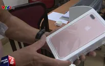 Nhiều iPhone 7 được chuyển từ... Móng Cái về Hà Nội tiêu thụ