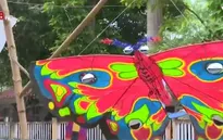 Khai mạc Liên hoan Diều Festival Huế 2016