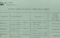 Gia Lai công bố 9 doanh nghiệp nợ thuế