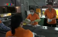 Bình Dương: Chỉ có 5% doanh nghiệp quan tâm đến TPP