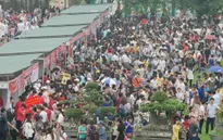 Hoàng thành Thăng Long chật ních người đến dự Lễ hội Hoa anh đào