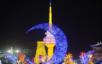Rực rỡ lễ hội đèn lồng khổng lồ Việt - Hàn 2016