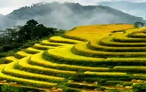 Đẩy mạnh quảng bá du lịch Việt Nam qua Google và mạng xã hội