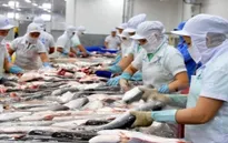 Cá tra Việt Nam được ưa chuộng tại thị trường Thái Lan