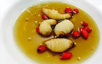Kinh hãi những món ăn chế biến từ côn trùng được cho là bổ dưỡng