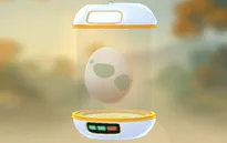 Pokémon GO: Hướng dẫn ấp trứng Pokémon