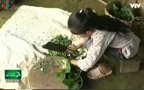Hoàn cảnh khó khăn của em học sinh nghèo nuôi cha bị tai biến