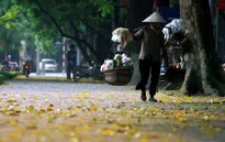 Bán hàng rong phải cam kết an toàn thực phẩm