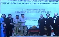 Tặng 5 tấn gạo cho Việt kiều nghèo ở Campuchia